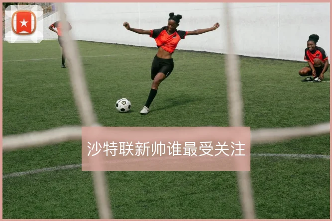 沙特联新帅谁最受关注