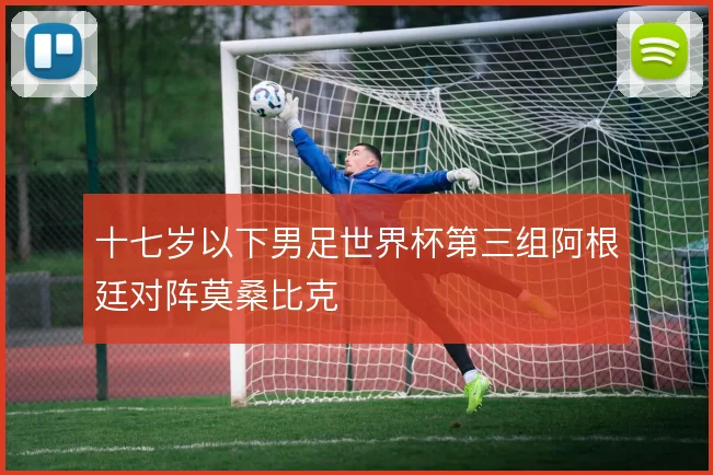 十七岁以下男足世界杯第三组阿根廷对阵莫桑比克