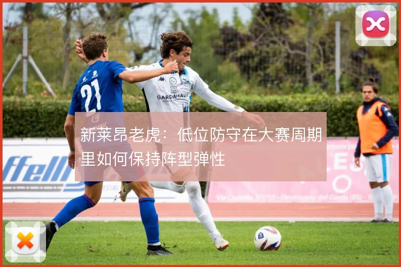 新莱昂老虎：低位防守在大赛周期里如何保持阵型弹性